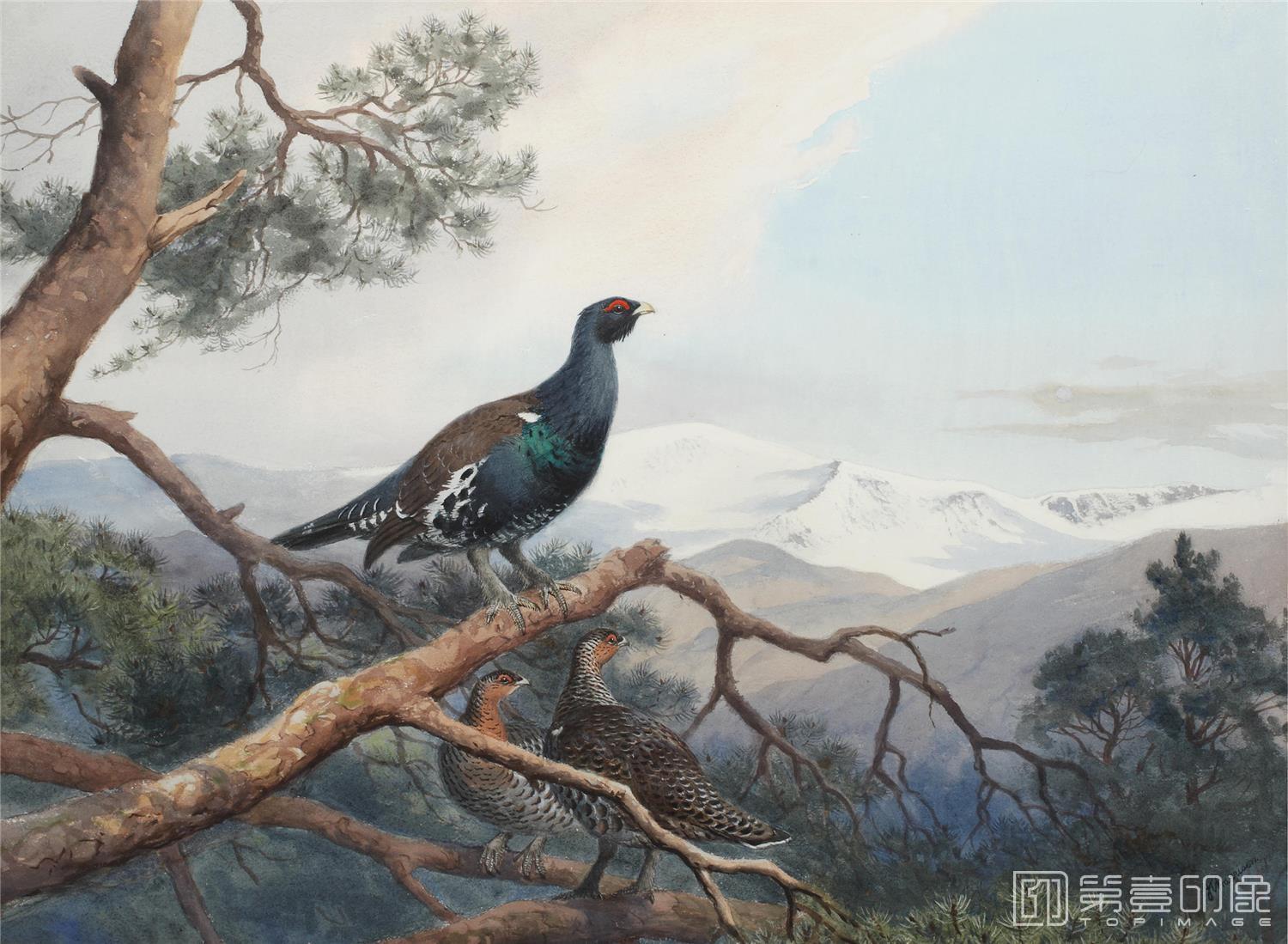 油画-约翰.赛里尔·哈里森 John Harrison作品集-139